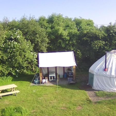 Mill Haven Place Glamping-Yurt 1 Talbenny Eksteriør bilde