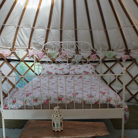 Mill Haven Place Glamping-Yurt 1 Talbenny Eksteriør bilde