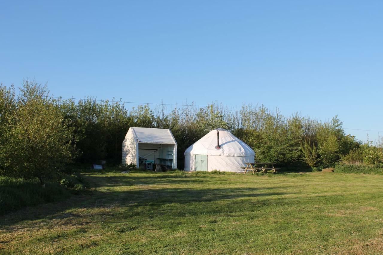 Mill Haven Place Glamping-Yurt 1 Talbenny Eksteriør bilde