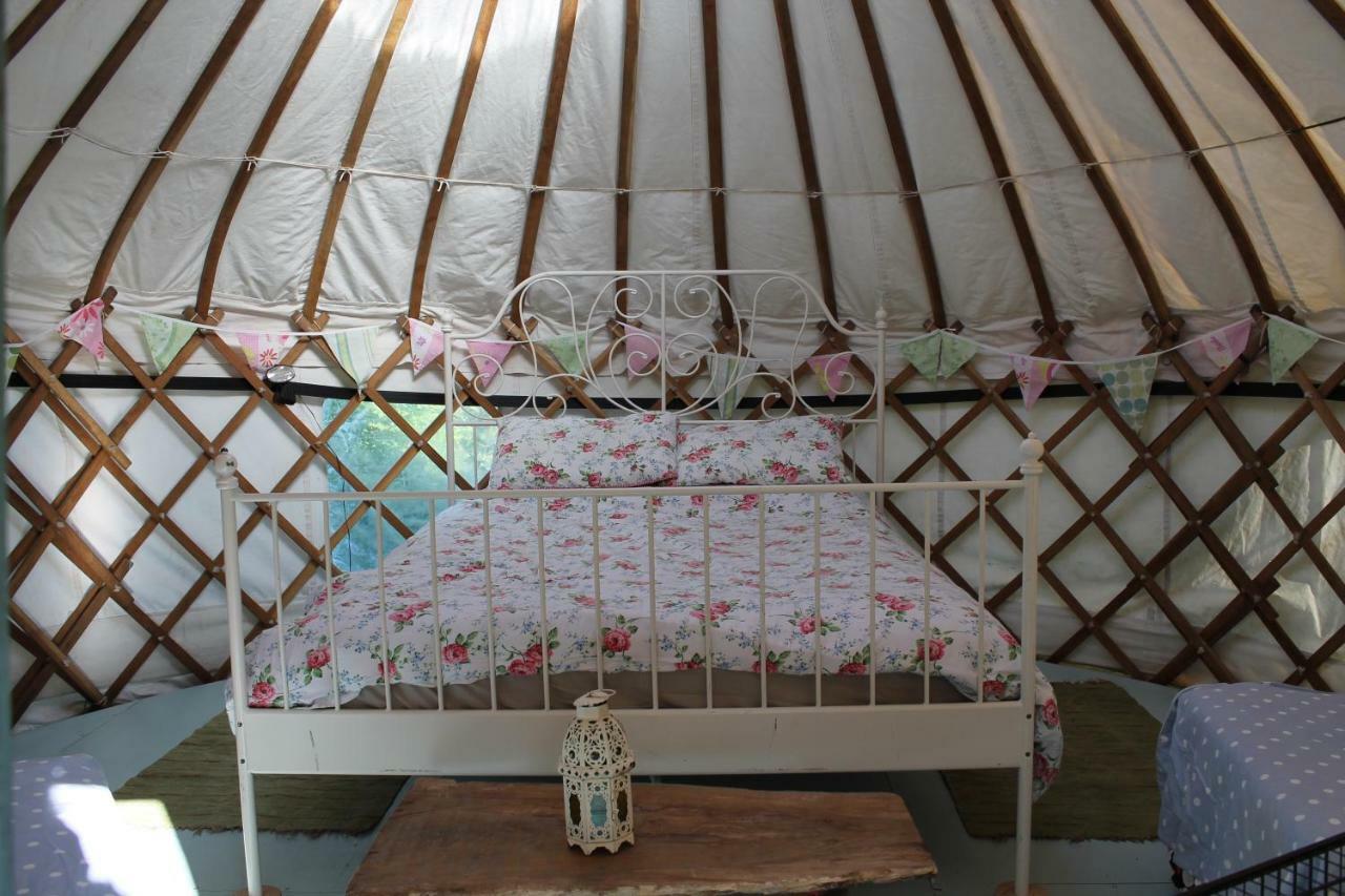 Mill Haven Place Glamping-Yurt 1 Talbenny Eksteriør bilde